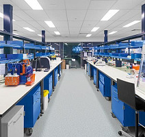 Forbo Sphera Ec 450007 grey sky фото 3 | FLOORDEALER